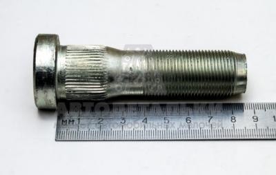 09880.wm1.jpg