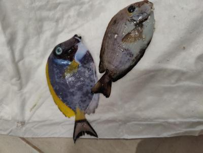 IMG20220620100659.jpg