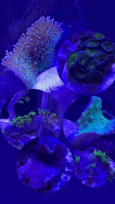 50A721EE-B178-4650-839A-359A07A7AC97.jpg