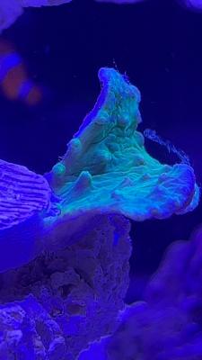 IMG_8634.JPG