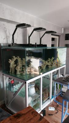 IMG_0818.JPG