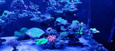 IMG_20230615_215016.jpg