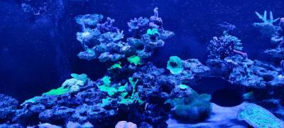IMG_20230615_215029.jpg