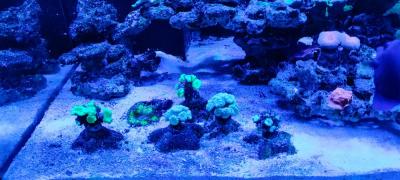 IMG_20230615_215038.jpg