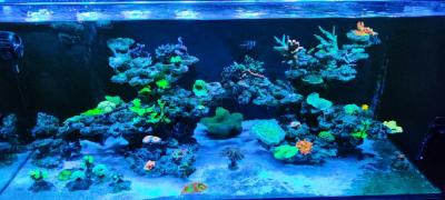 IMG_20230615_220216.jpg