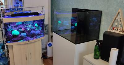 2025-06-12 18-32-21_1749965387.JPG