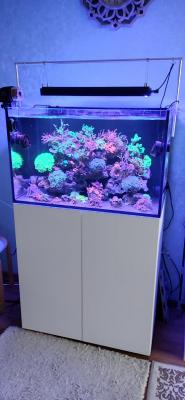 2025-06-25 20-13-14.JPG