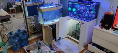 2025-06-13 19-31-39.JPG