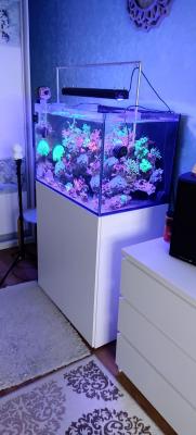 2025-06-25 20-13-26.JPG