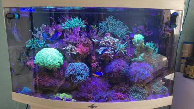 WhatsApp Image 2025-06-03 at 14.21.11.jpeg