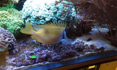 IMG_20250601_185619.jpg