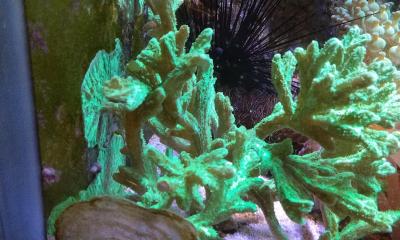 IMG_20250608_090700.jpg
