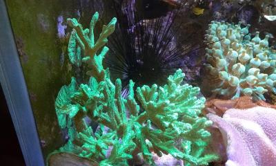 IMG_20250608_090648.jpg