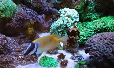 IMG_20250601_185611.jpg
