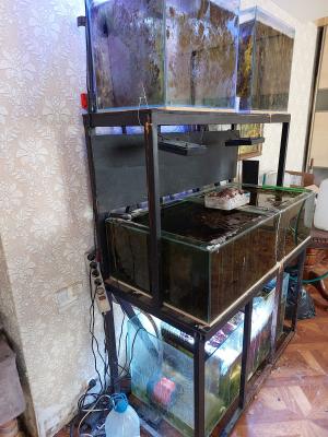 Изображение WhatsApp 2025-06-13 в 11.26.50_56880513.jpg