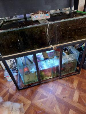 Изображение WhatsApp 2025-06-13 в 11.26.50_51a57ead.jpg