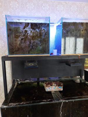 Изображение WhatsApp 2025-06-13 в 11.26.50_4bfdda54.jpg