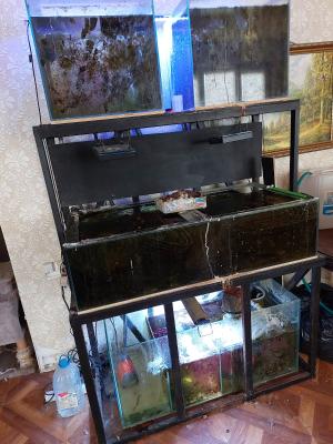 Изображение WhatsApp 2025-06-13 в 11.26.50_965d5d5d.jpg