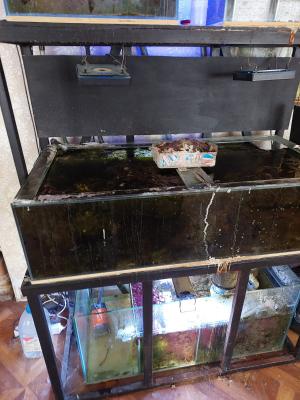 Изображение WhatsApp 2025-06-13 в 11.26.51_beeb6f16.jpg