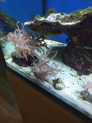 IMG_20250607_160402_1.jpg