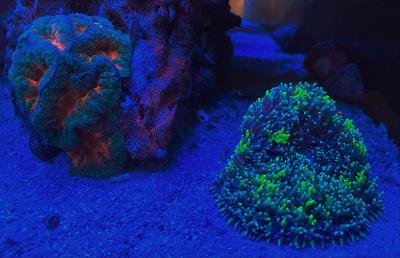 IMG_0663.jpeg