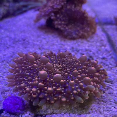 IMG_4838.jpg
