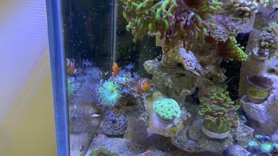 IMG_9855.jpg