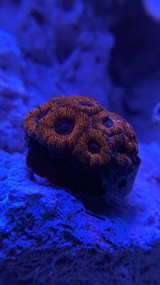 IMG_9867.jpg