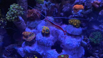 IMG_9866.jpg
