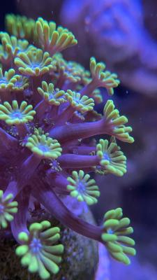 IMG_9881.jpg