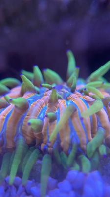 IMG_9882.jpg