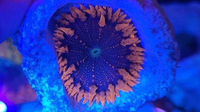 20260614_202413.jpg