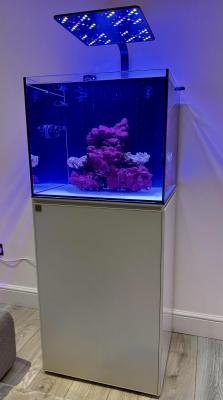 IMG_2817.jpeg