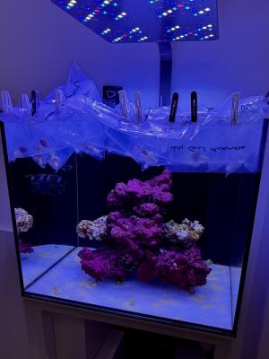 IMG_2836.jpeg
