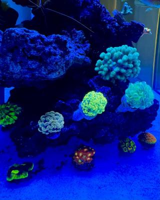 IMG_2976.jpeg
