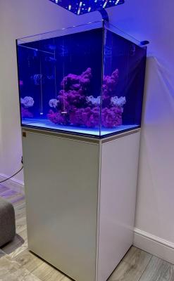 IMG_2819.jpeg