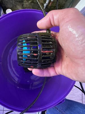 Image1780564027.735536.jpg