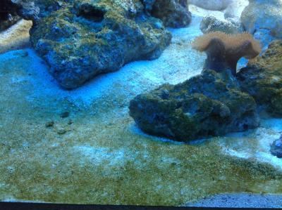 фотография (11).JPG