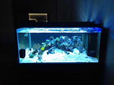 фотография (8).JPG