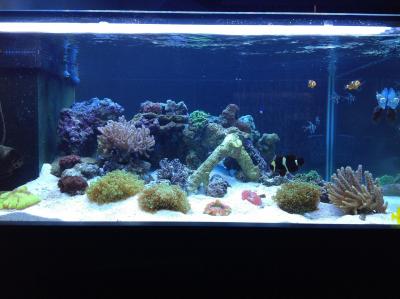 фотография (3).JPG