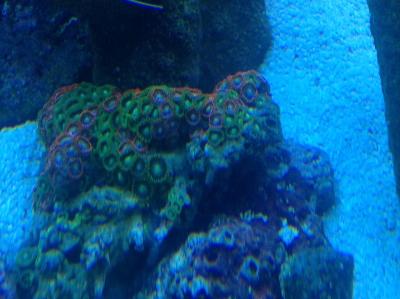 фотография (18).JPG