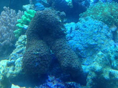 фотография (19).JPG