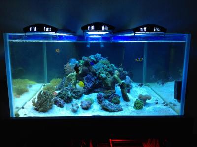 фотография (9).JPG