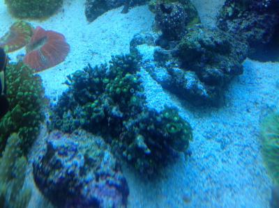 фотография (20).JPG