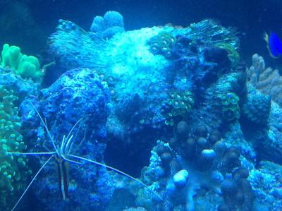 фотография (17).JPG