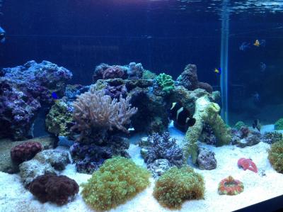 фотография (4).JPG