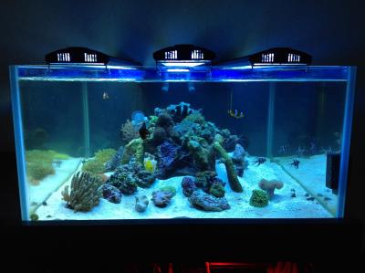 фотография (10).JPG