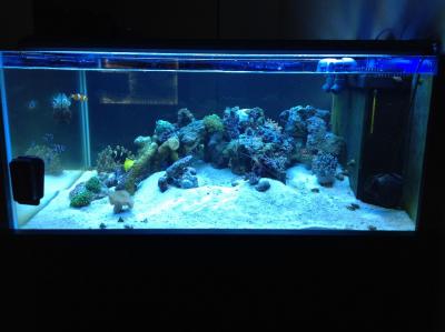 фотография (7).JPG