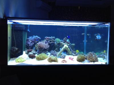 фотография (2).JPG