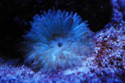 DSC_1039.JPG